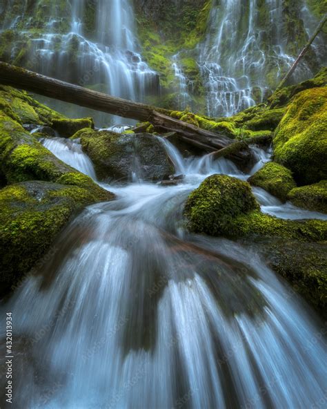 Up close to the Proxy Falls, one of the most impressive waterfalls in ...