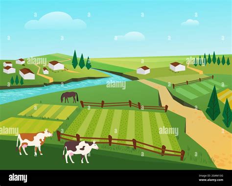 Cows graze in village countryside summer landscape vector illustration ...