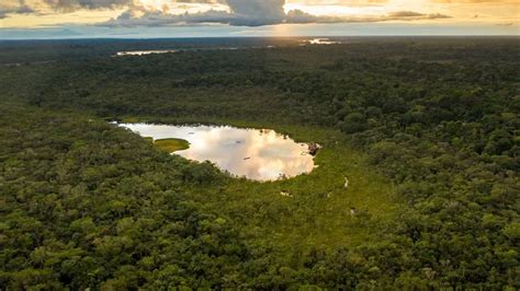 The Amazon Rainforest in Ecuador