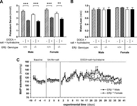 Estrogen Receptor β Signals Left Ventricular Hypertrophy Sex Differences in Normotensive