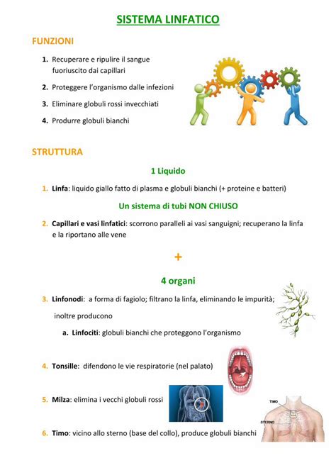 (PDF) SISTEMA LINFATICO - scuoleasso.gov.it · SISTEMA LINFATICO ...