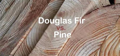 Douglas Fir Vs Pine