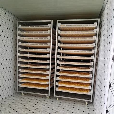 144 Trays Dehydrator Machine Peerage Gallery