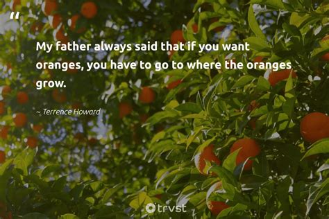 48 Orange Quotes to Inspire a Positive Outlook - SESO OPEN