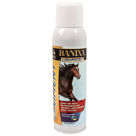 Banixx Premium Liniment Spray | – Paddock Saddlery