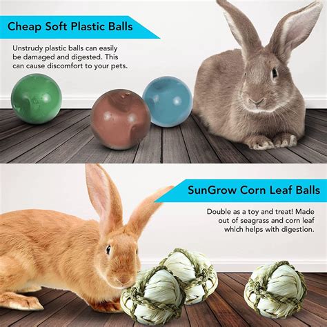 Sungrow Natural Corn Leaf Treat Ball Rabbit Interactive Chew Toys For