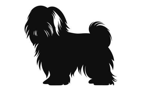 Shih Tzu Silhouette Vector Art, Icons, and Graphics for Free Download