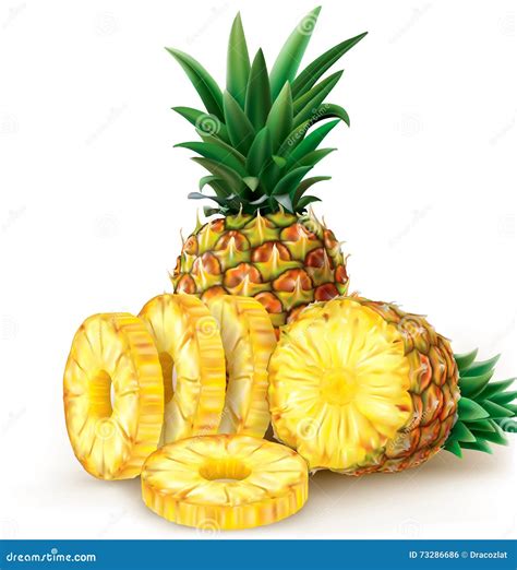 Pineapple Round Slices Stock Vector Illustration Of Tropical 73286686