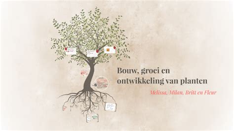 Bouw Groei En Ontwikkeling Van Planten By On Prezi