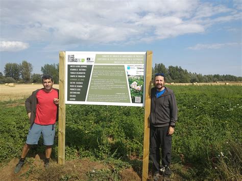 Campos De Ensayo De Variedades De Patata Adaptadas Al Cultivo Ecol Gico