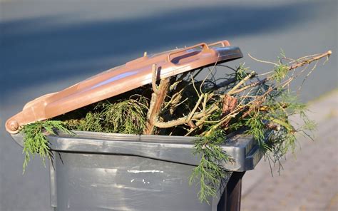 Alle Jahre wieder Wie trennt man den Weihnachts Müll richtig