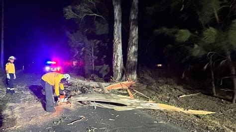 Thousands Of Homes Without Power Trees Down As Damaging Winds Hit