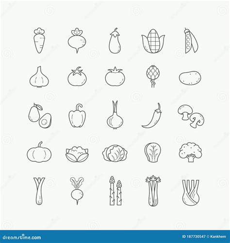 Vegetarian Vegetable Veggies Thin Line Icons Set Vegetable Line