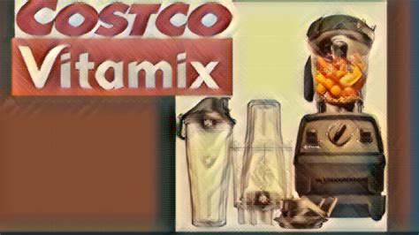 The Ultimate Guide To Choosing The Right Vitamix Blender Costco of 2023 ...