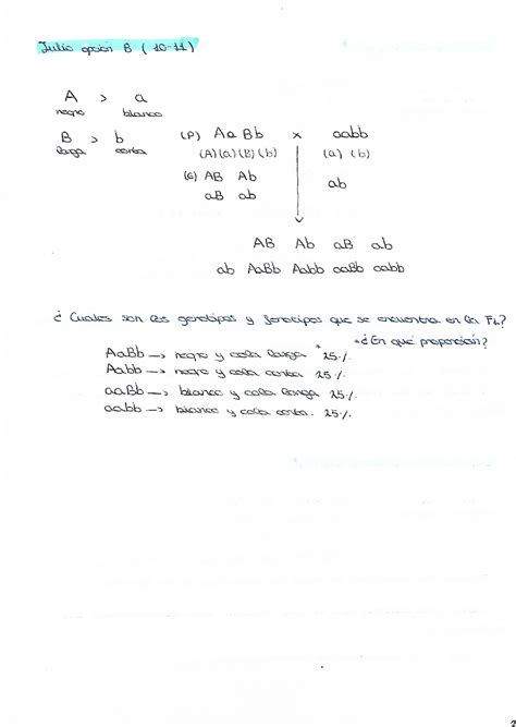 Solution Preguntas Ebau Gen Tica Studypool