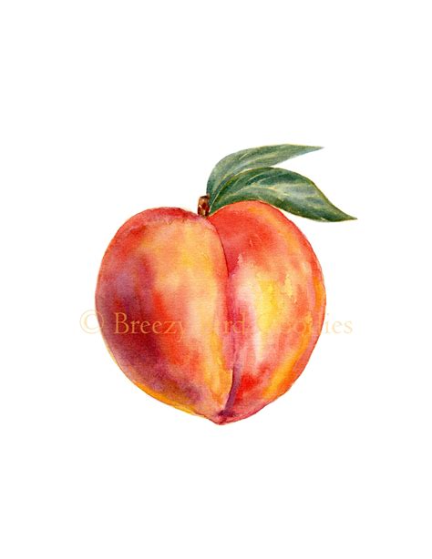 Peach Print Watercolour Peach Kitchen Print Watercolor Fruit Art