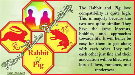 Rabbit Pig Compatibility Understanding The Differences Zodiac Signs 101