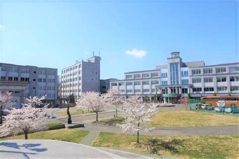 東北文化学園大学 本学の特色｜大学ポートレート