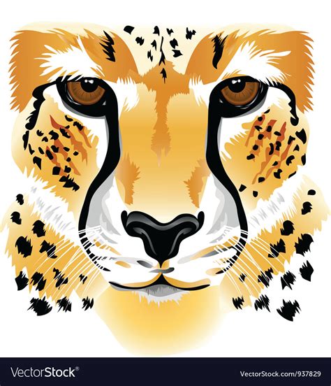 Cheetah face Royalty Free Vector Image - VectorStock