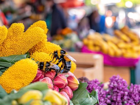 Bee-Friendly Flowers Attracting Insects 55855293 Stock Photo at Vecteezy