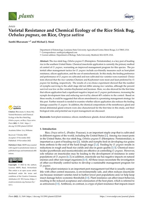 PDF Varietal Resistance And Chemical Ecology Of The Rice Stink Bug