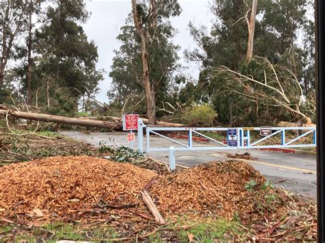 CuriOdyssey Temporarily Closed Due to Storm Damage - CuriOdyssey