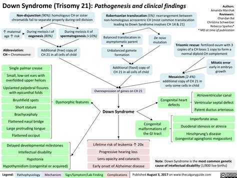 What Is The Difference Between Down Syndrome And Trisomy 21 at Lidia