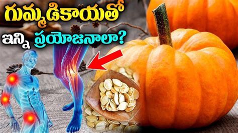 Top Benefits Of Pumpkin In Telugu Health Benefits Of Pumpkin Mana