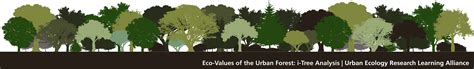 Carbon Storage by Urban Forests (U.S. National Park Service)