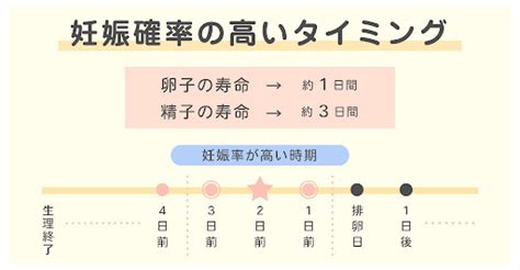 排卵日はいつ？排卵当日のおりものの状態や妊娠しやすいタイミングを解説！｜wakanote