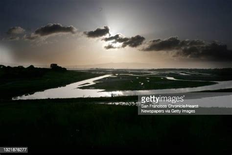 Ravenswood Park Photos And Premium High Res Pictures Getty Images