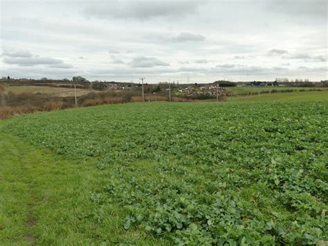 Crop Field At Dunningley Hill Stephen Craven Geograph Britain And