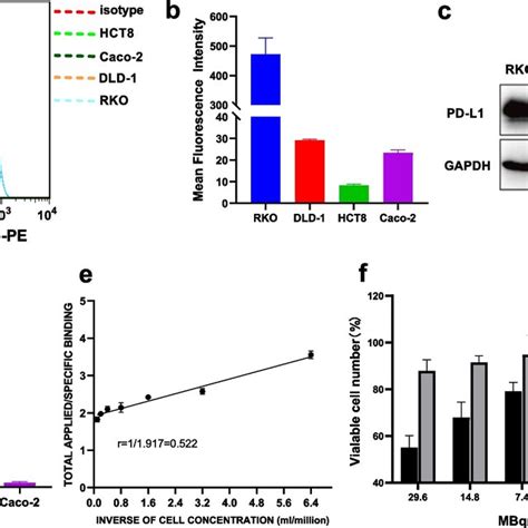 Analysis Of Pd L1 Expression And Cytotoxicity Of ¹³¹i Atezolizumab On