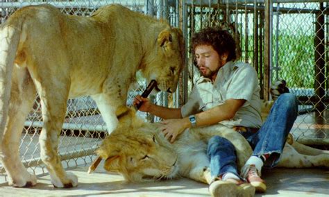 Lion Tamers Guide To Teaching