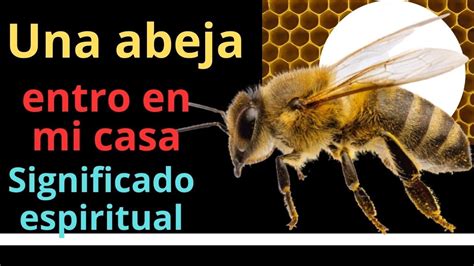 Significado Espiritual De Las Abejas Dentro De Casa Tienen Un Mensaje