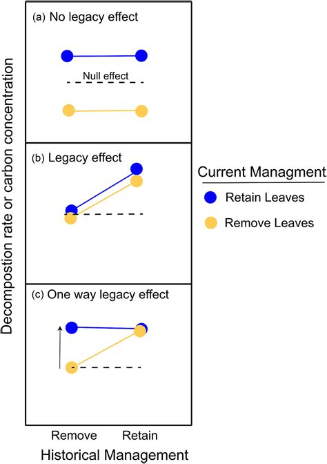 Legacy Effects Of Longterm Autumn Leaf Litter Removal Slow