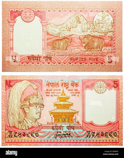 Banknote Rupees Nepal Front And Back Isolated On White Emitted On