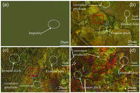 (a) Uncorroded sample surface, (b) sample surface after 12 h of... | Download Scientific Diagram