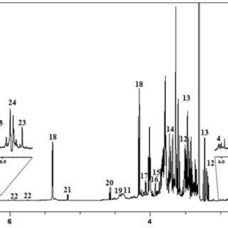 Representative H Nuclear Magnetic Resonance Nmr Spectrum Of Vitis