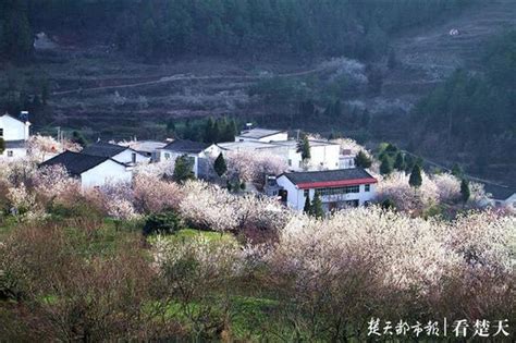 第二批全国乡村旅游重点村名单公示 湖北27个村拟入选湖北频道凤凰网