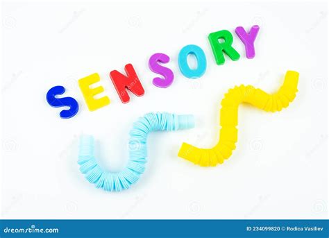 Sensory Word and Sensory Toy for Kid. Sensory Training, Fine Motor ...