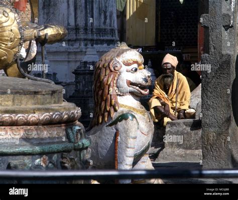 Los Hombres Santos Hombre Santo Sadhu Devoto De Siva En El Recinto