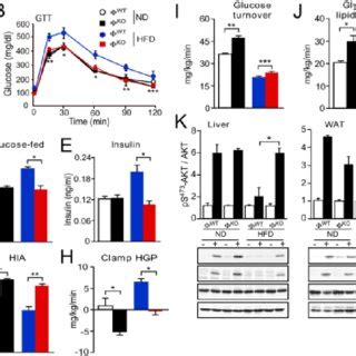 JNK Promotes M1 Polarization Of Macrophages In Vitro A Bone