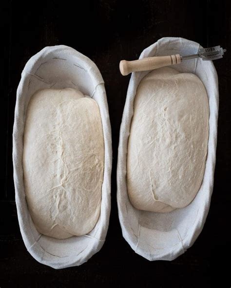 The ultimate guide to proofing bread dough – Artofit