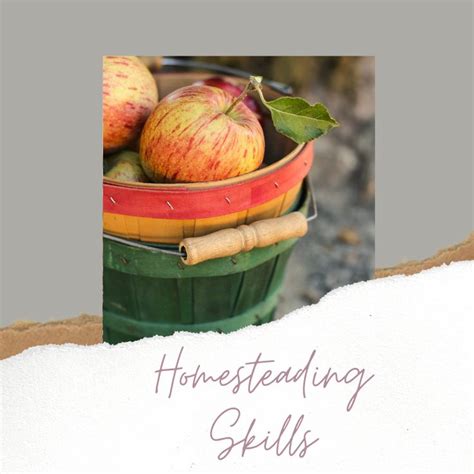 Homestead Skills | Homesteading skills, Homesteading, Skills