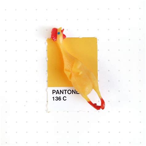 Pantone 136 Color Match Pantone Palette Pantone Swatches Pantone