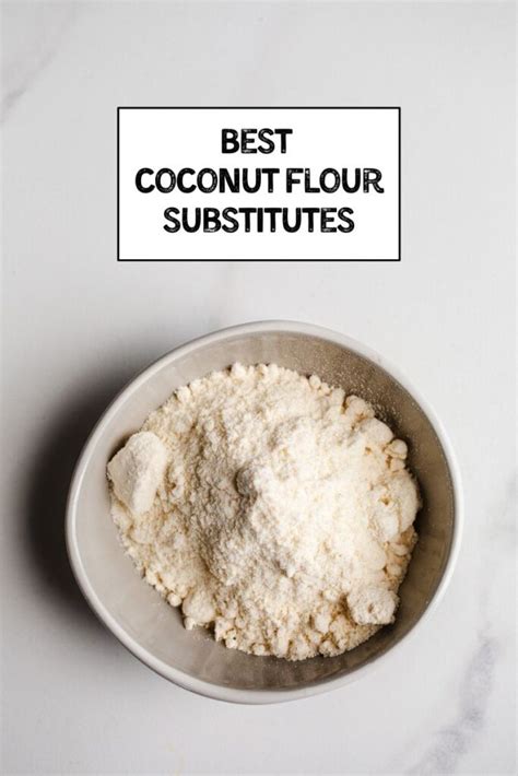 Best Coconut Flour Substitutes Salted Plains