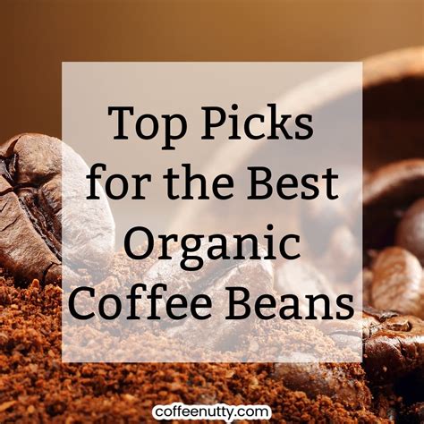 The Best Organic Coffee Beans (Top Brands of 2023) - coffeenutty.com