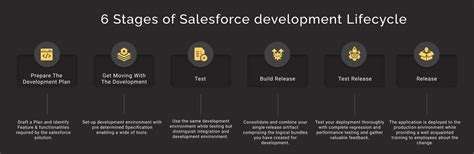 Everything About Salesforce Development Lifecycle