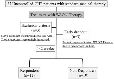 Figure1.Progress through this observational study. CHF indicates ...